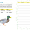 Bird Watching Book for Kids