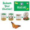 Insect Lore: Butterfly Garden Growing Kit (with voucher)