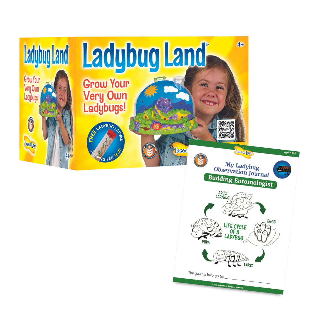 Insect Lore: Ladybug Land (with voucher)