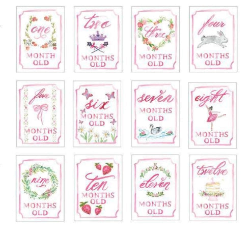 Monthly Milestone Card Set- Pink, Blue, Platinum