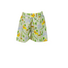 The Proper Peony: Savannah Zoo Boy Shorts