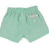 TBBC: Sheffield Shorts -Kiawah Kelly Green Windowpane/Multicolor