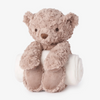 Elegant Baby: Bear Bedtime Huggie Plush Toy with Blanket